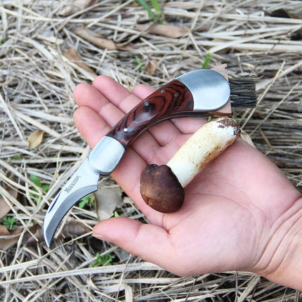 Collection image for: Couteau a champignon
