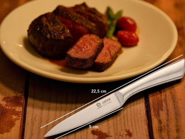 Ceramique couteau a steak