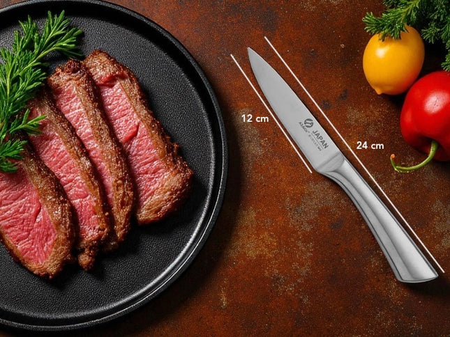 Couteau ceramique a steak