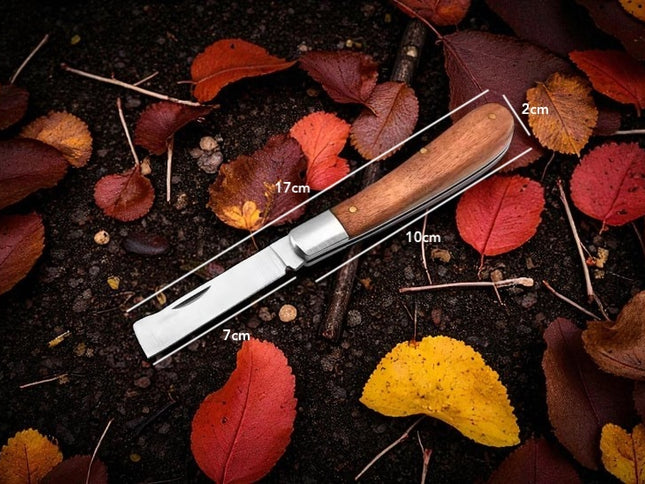 Couteau manche en bois d'olivier