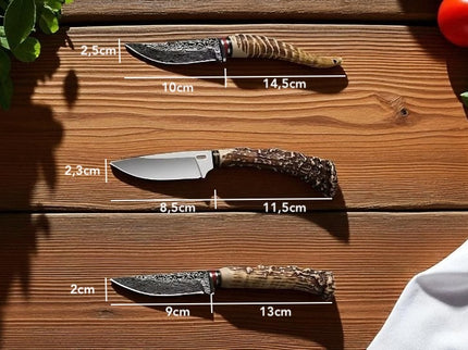 Dagger cerf