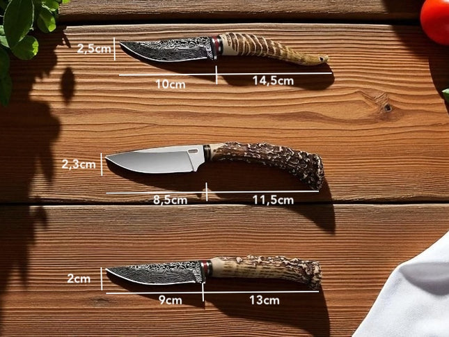 Dagger cerf