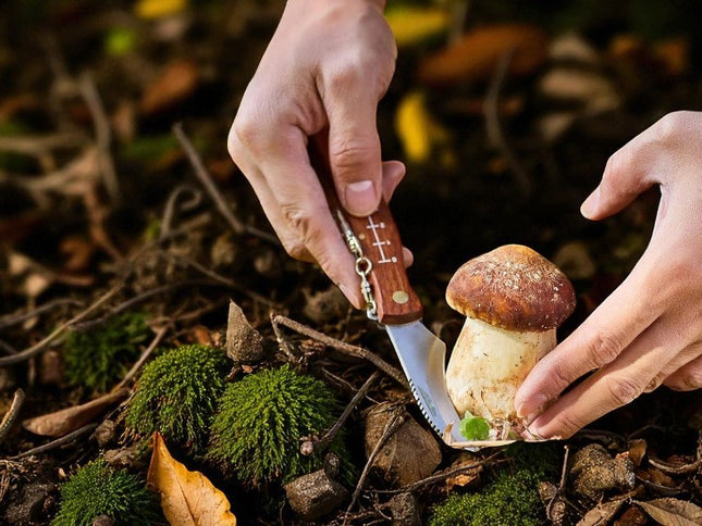 Serpette champignon